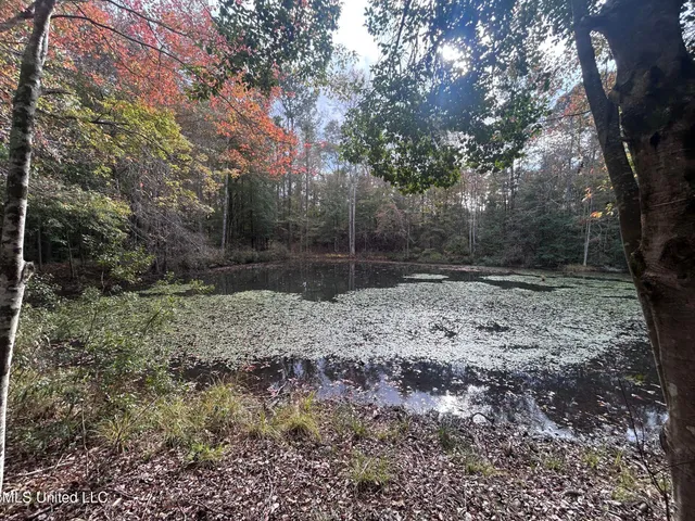 $138,000 | 6643 County Road 630, Quitman, MS 39355