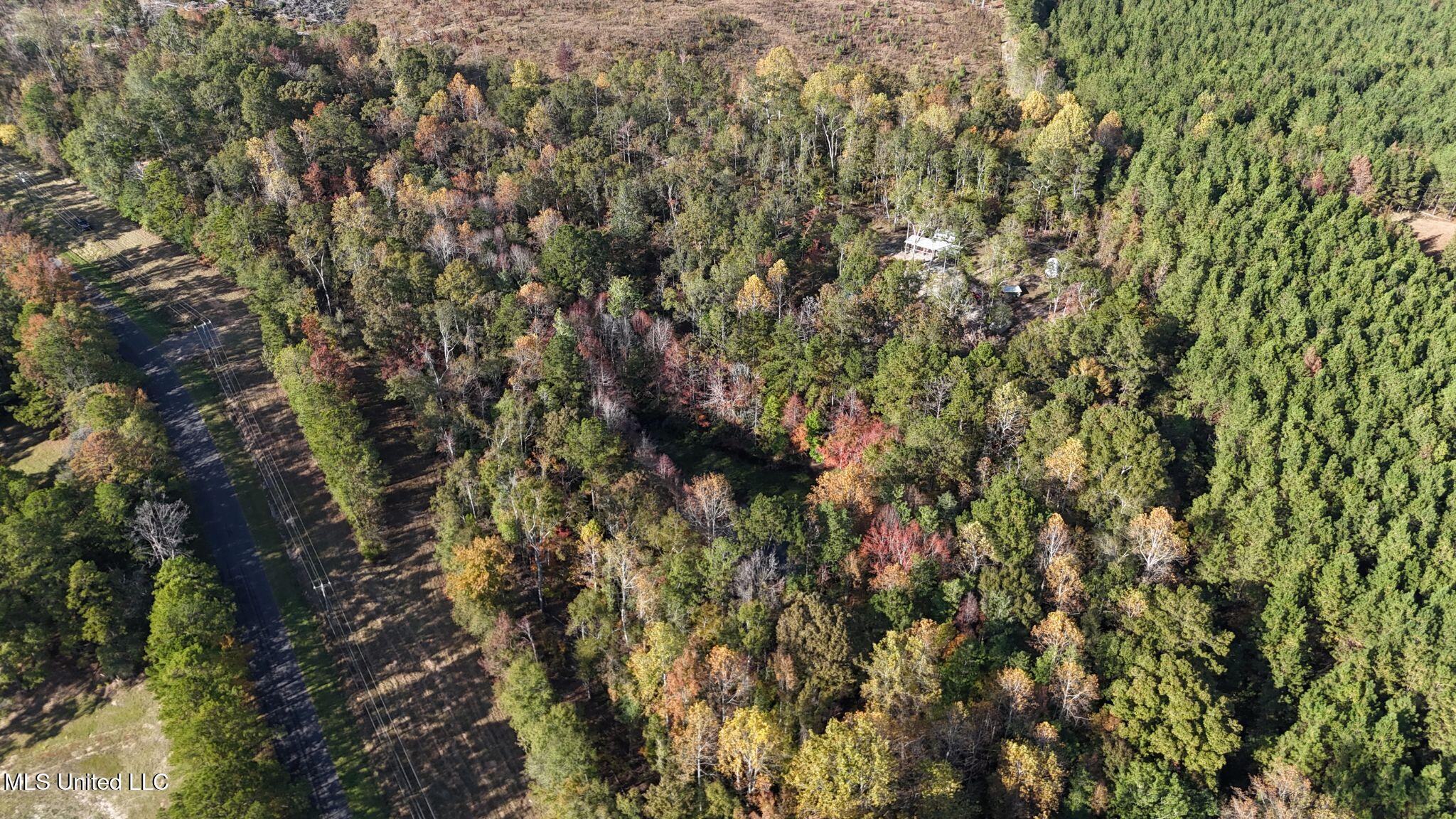 6643 County Road 630 Quitman, MS 39355 - Photo 8 of 58 3