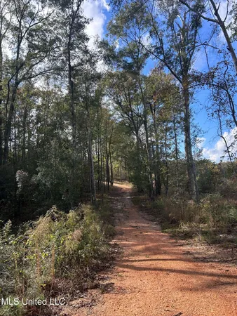 $125,000 | 6643 County Road 630, Quitman, MS 39355