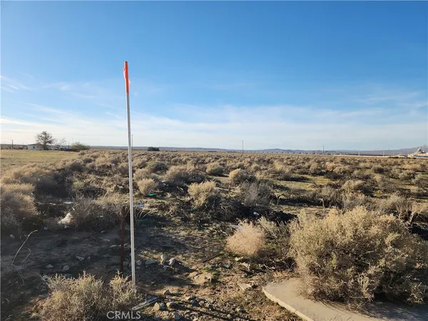 $24,950 | 10-ac Edie Road, Hinkley, CA 92347