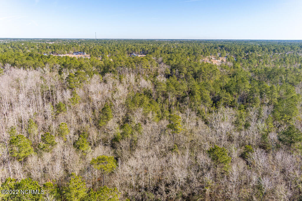 0 Brians Woods Road Maple Hill, NC 28454 - Photo 11 of 20 12