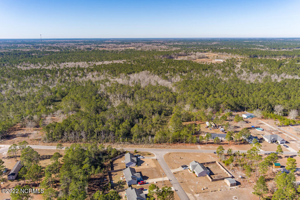 0 Brians Woods Road Maple Hill, NC 28454 - Photo 12 of 20 13
