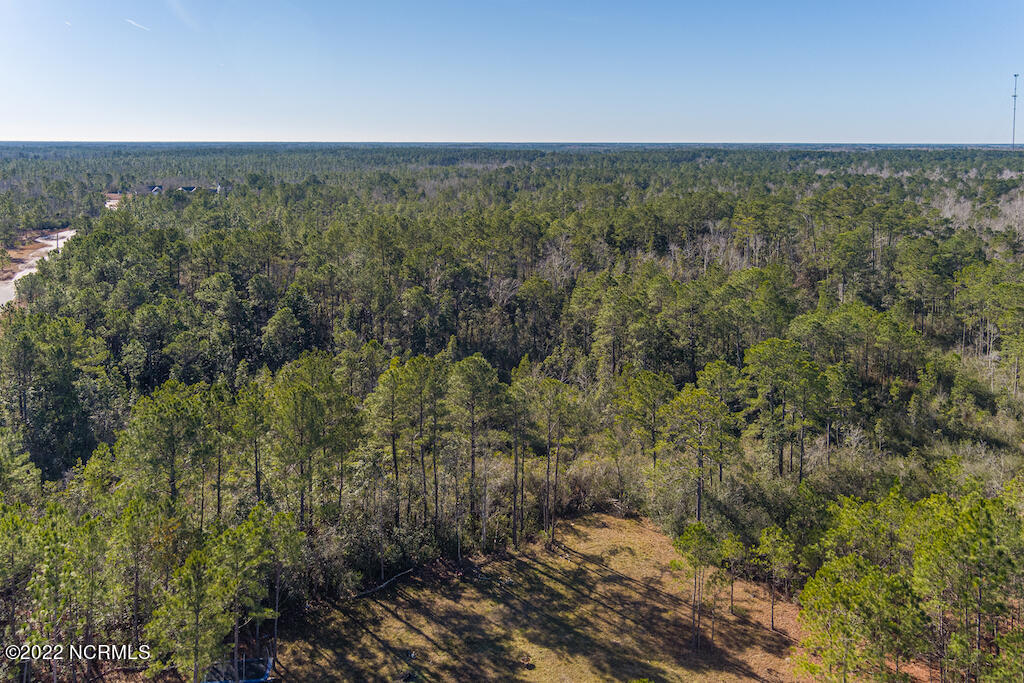0 Brians Woods Road Maple Hill, NC 28454 - Photo 13 of 20 14