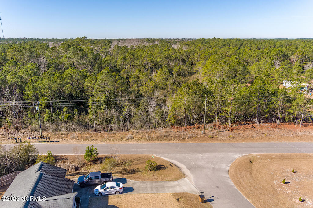 0 Brians Woods Road Maple Hill, NC 28454 - Photo 14 of 20 15