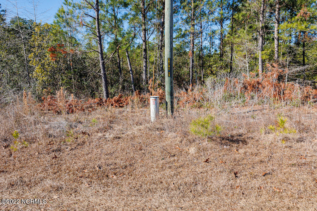 0 Brians Woods Road Maple Hill, NC 28454 - Photo 15 of 20 16