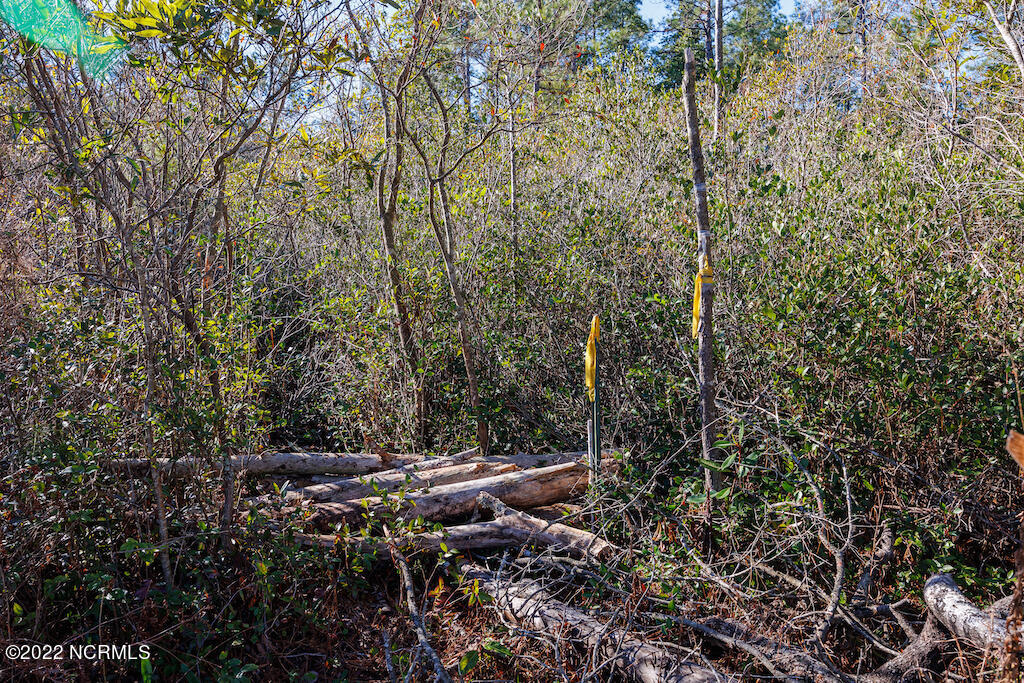 0 Brians Woods Road Maple Hill, NC 28454 - Photo 16 of 20 17