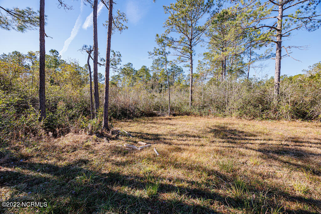 0 Brians Woods Road Maple Hill, NC 28454 - Photo 17 of 20 18