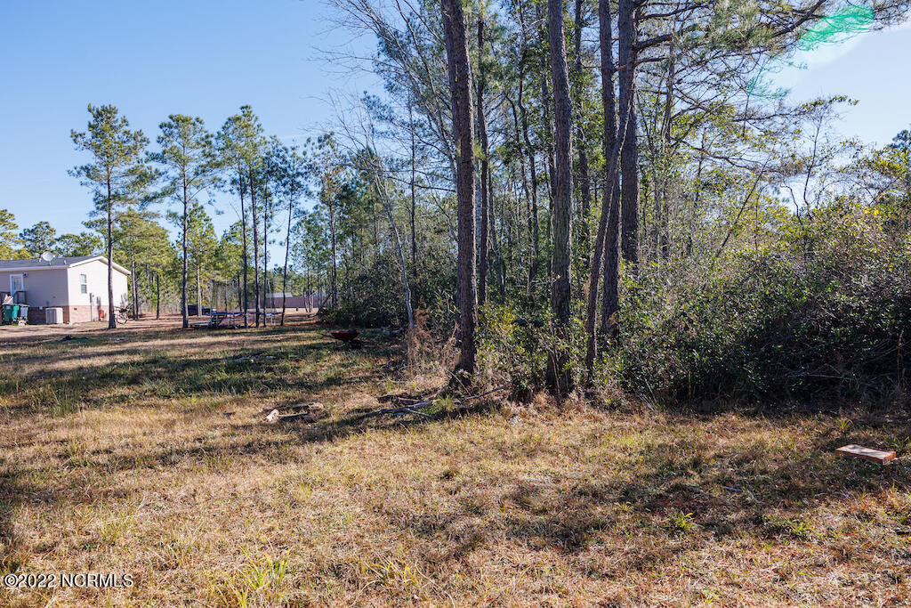 0 Brians Woods Road Maple Hill, NC 28454 - Photo 18 of 20 19