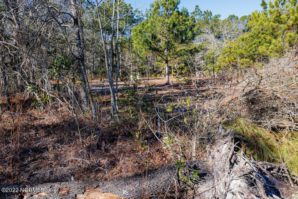 0 Brians Woods Road Maple Hill, NC 28454 - Photo 19 of 20 20