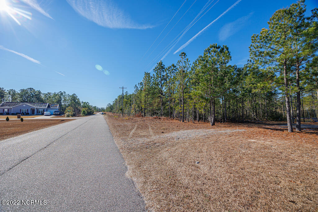 0 Brians Woods Road Maple Hill, NC 28454 - Photo 20 of 20 21