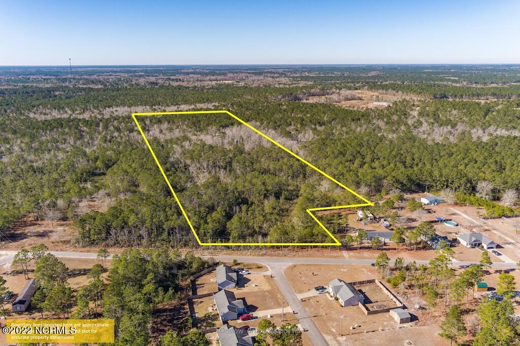 0 Brians Woods Road Maple Hill, NC 28454 - Photo 3 of 20 3