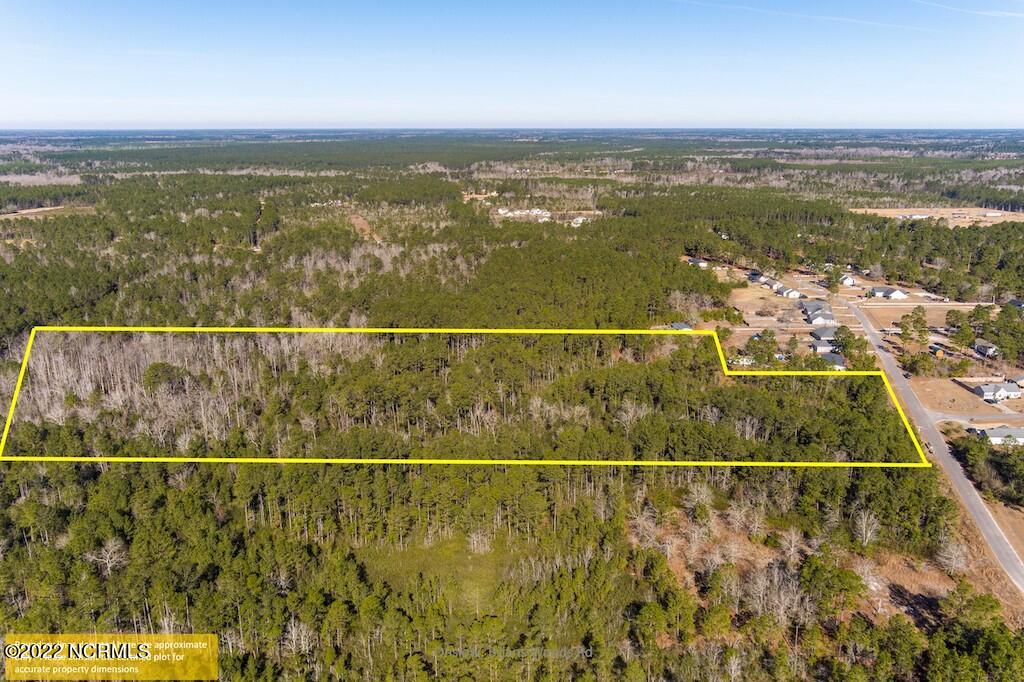 0 Brians Woods Road Maple Hill, NC 28454 - Photo 4 of 20 5