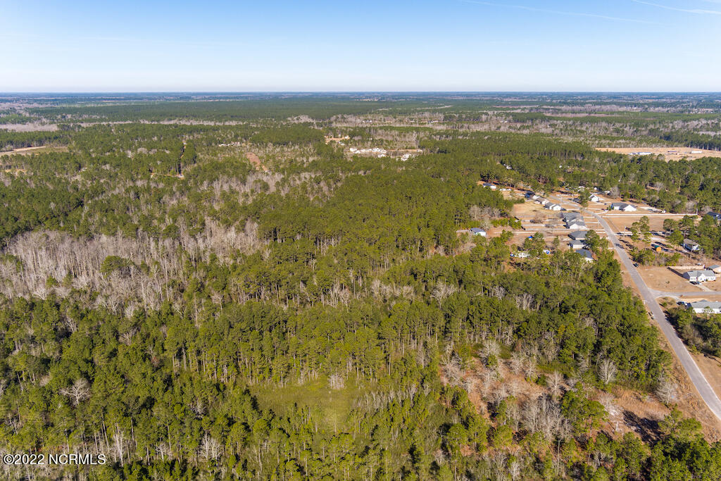 0 Brians Woods Road Maple Hill, NC 28454 - Photo 5 of 20 6