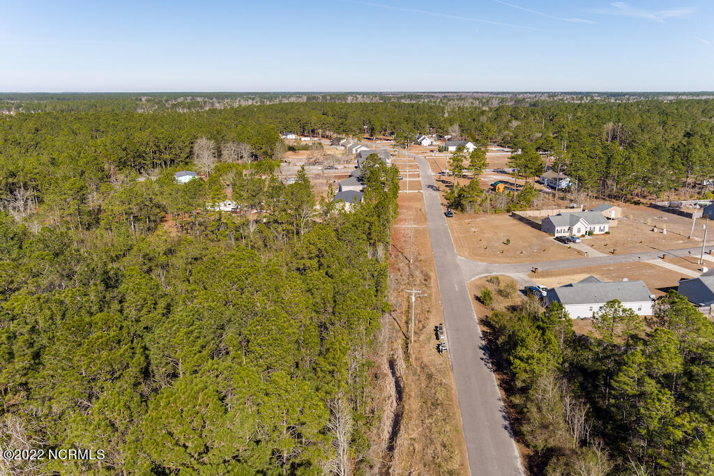 0 Brians Woods Road Maple Hill, NC 28454 - Photo 6 of 20 7
