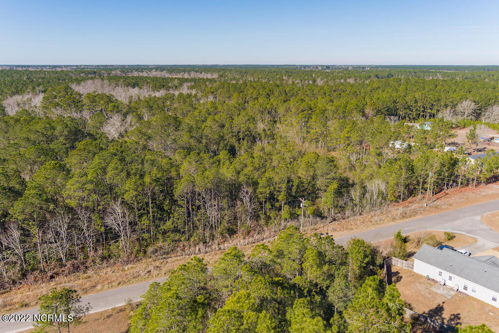 0 Brians Woods Road Maple Hill, NC 28454 - Photo 7 of 20 8