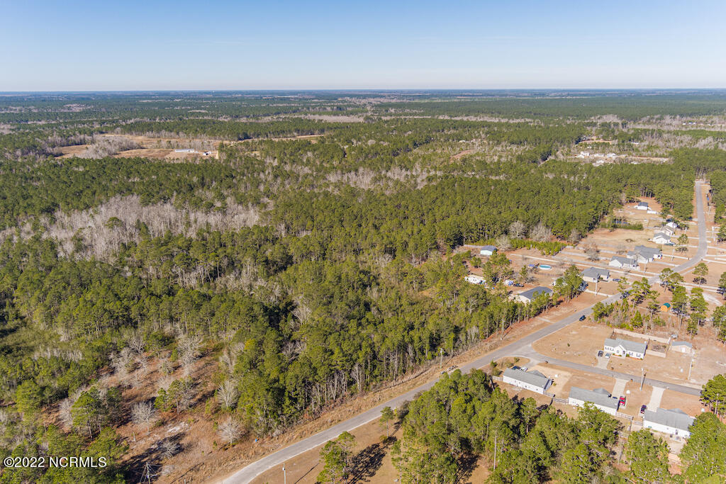 0 Brians Woods Road Maple Hill, NC 28454 - Photo 8 of 20 9