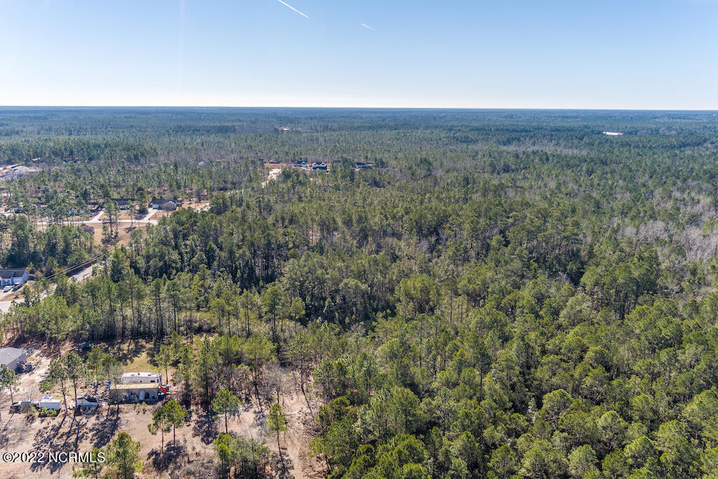 0 Brians Woods Road Maple Hill, NC 28454 - Photo 9 of 20 10