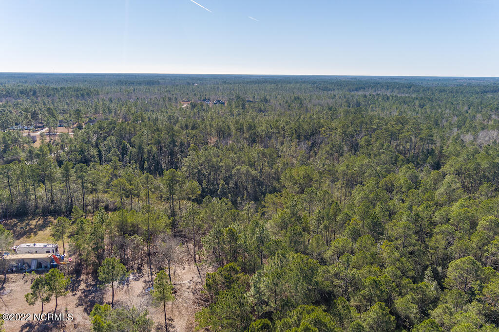 0 Brians Woods Road Maple Hill, NC 28454 - Photo 10 of 20 11