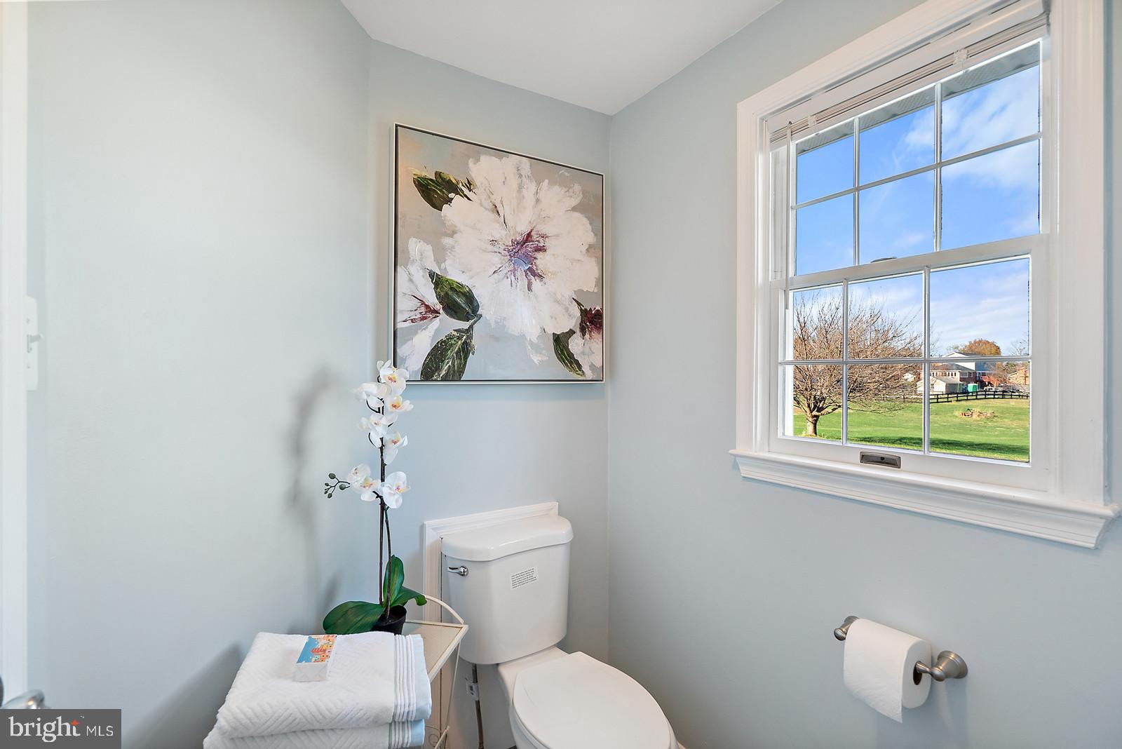 2695 Logmill Road Haymarket, VA 20169 - Photo 25 of 42 Master bath in coastal blue color story.