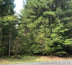 11 Hawk Ridge Drive Mill Spring, NC 28756 - Photo 3 of 10