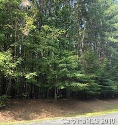 11 Hawk Ridge Drive Mill Spring, NC 28756 - Photo 5 of 10
