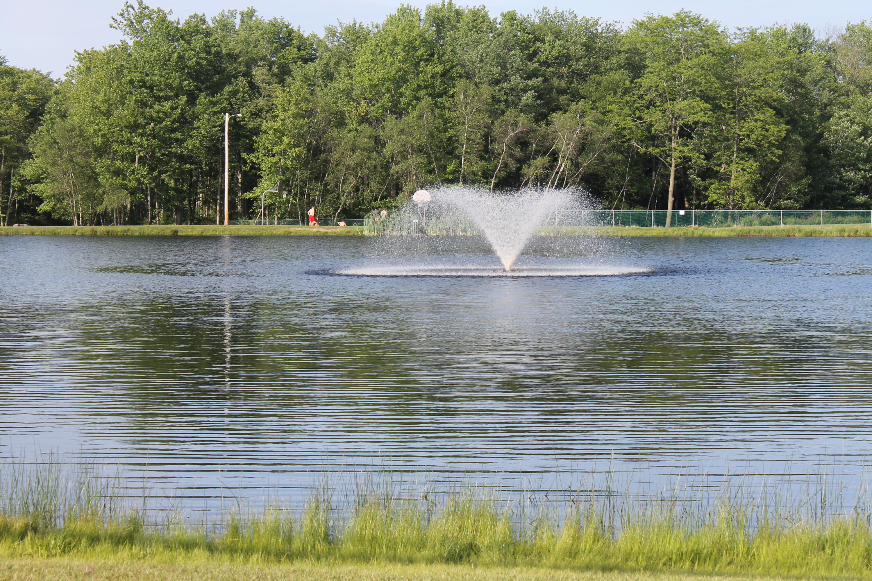 193 Elk Run Road Pocono Lake, PA 18347 - Photo 47 of 51 a view of a water fountain