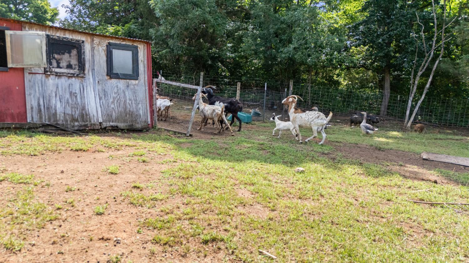 3227 Elon Road Monroe, VA 24574 - Photo 45 of 57