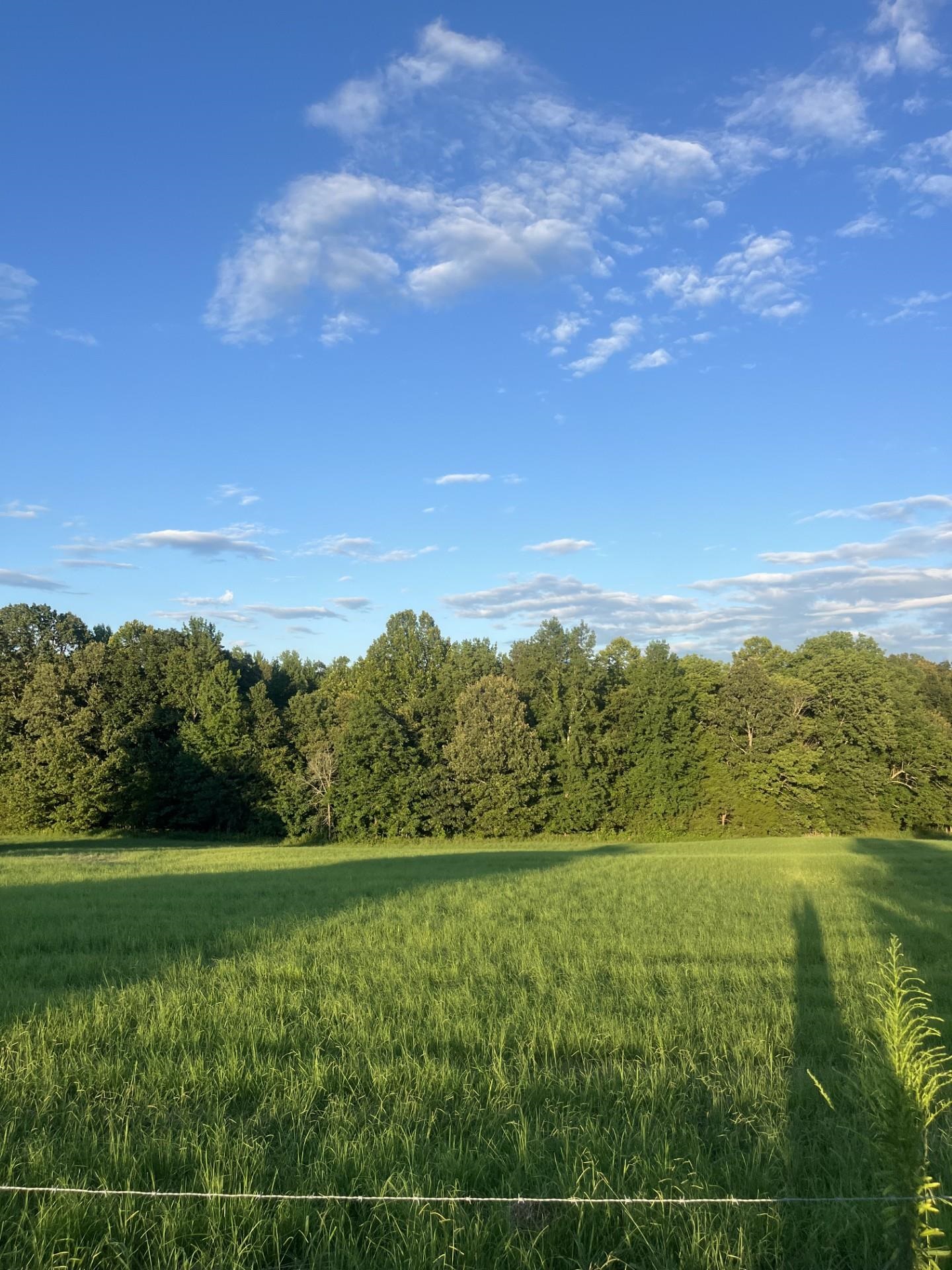 a view of a green field with a lake