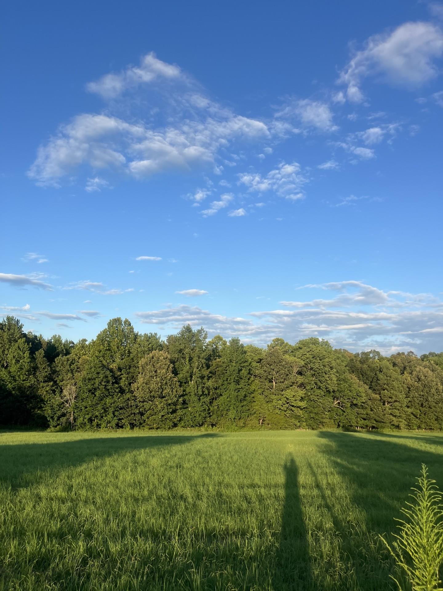 1480 Bruce Road Whiteville, TN 38075 - Photo 2 of 6 a view of an ocean and a yard