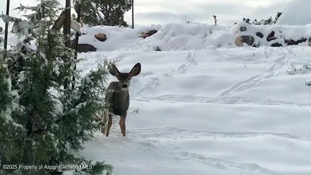 $795,000 | 57191 Me Road, Collbran, CO 81624