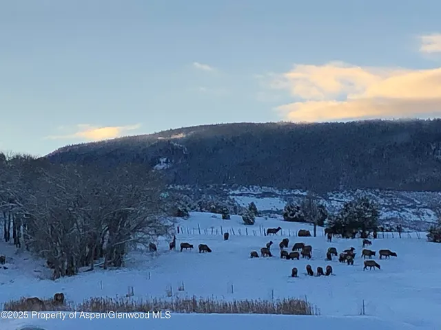 $795,000 | 57191 Me Road, Collbran, CO 81624