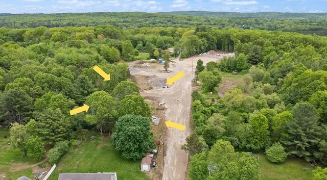 a view of a tree with yard