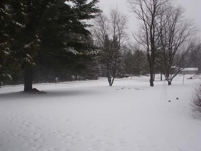 5857 Pineview Drive Rhinelander, WI 54501 - Photo 15 of 20 Gallery Image 15