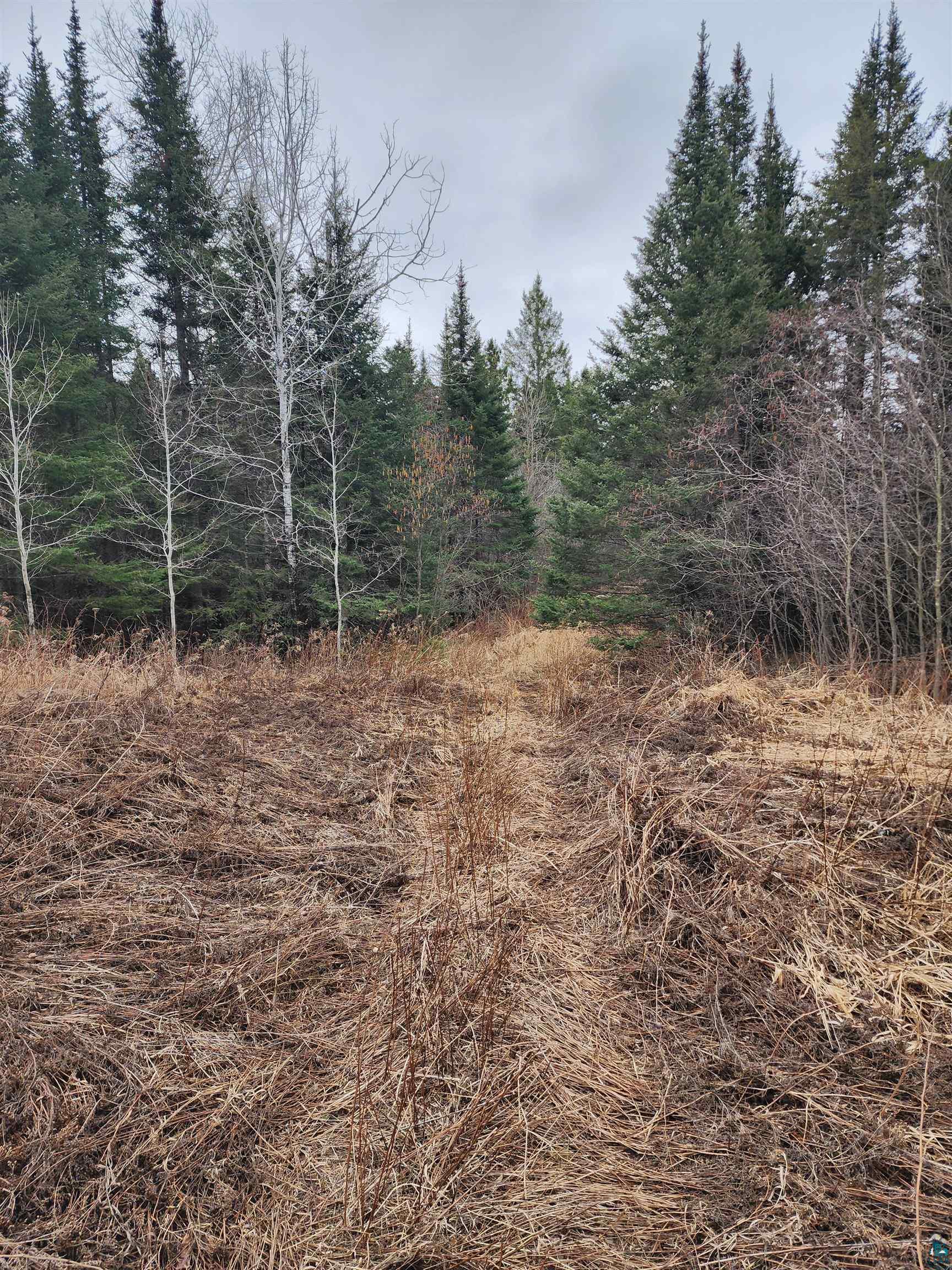 29-xx Lavis Road Duluth, MN 55804 - Photo 3 of 8