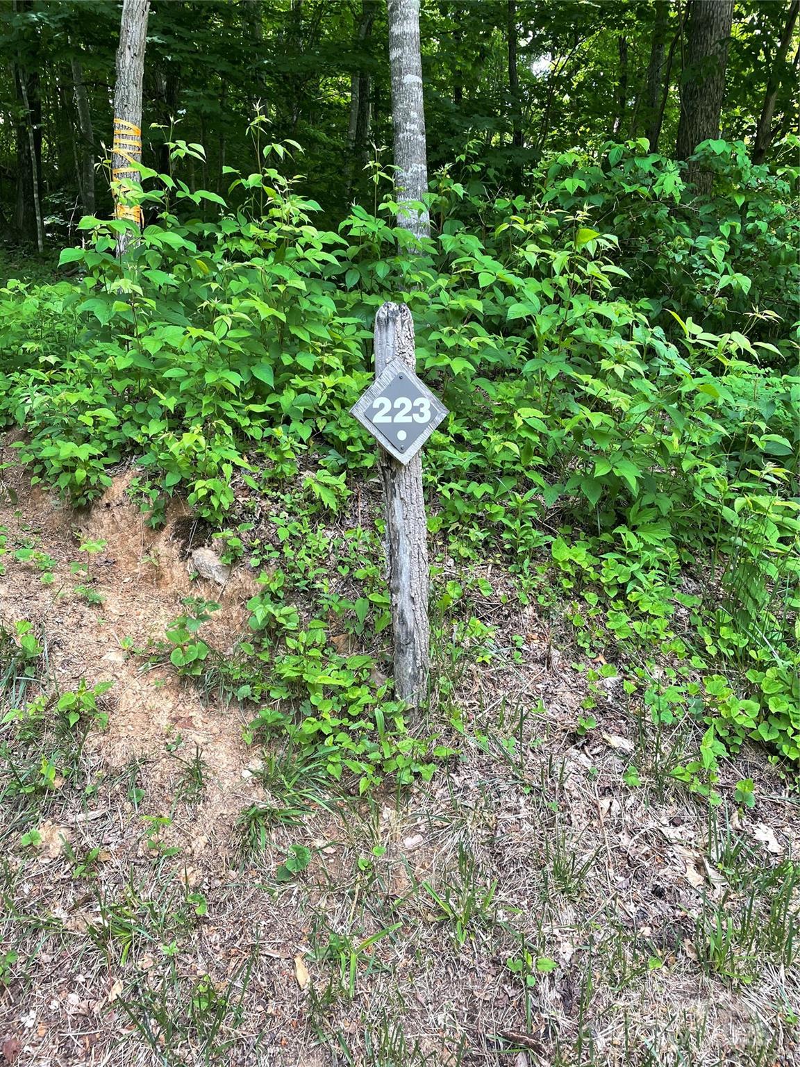 223 Flying Dutchman Road Sylva, NC 28779 - Photo 5 of 11 a view of a pathway in a garden