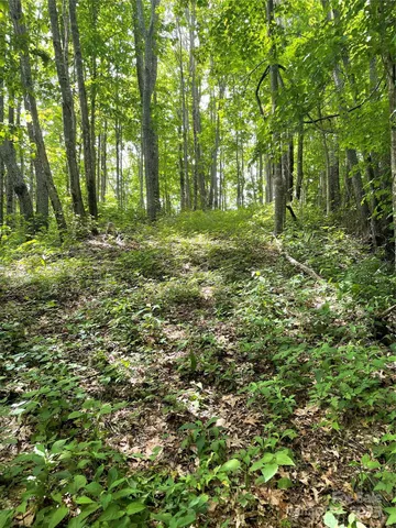 a view of outdoor space with green field and trees