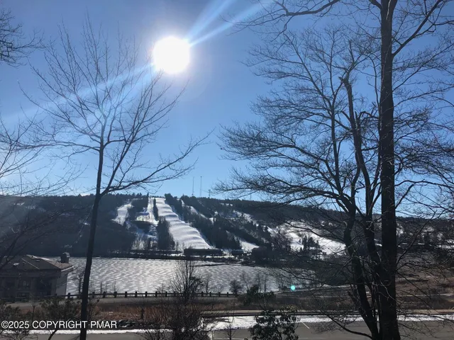 a view of a yard of the house