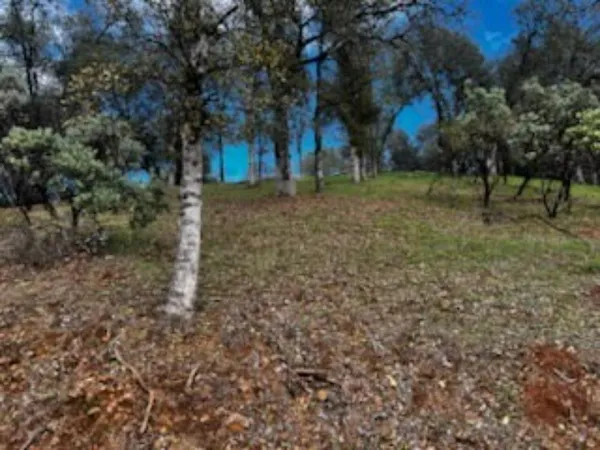 a view of an outdoor space