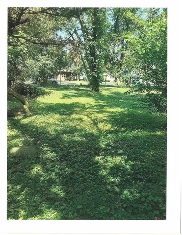 a big yard with lots of green space