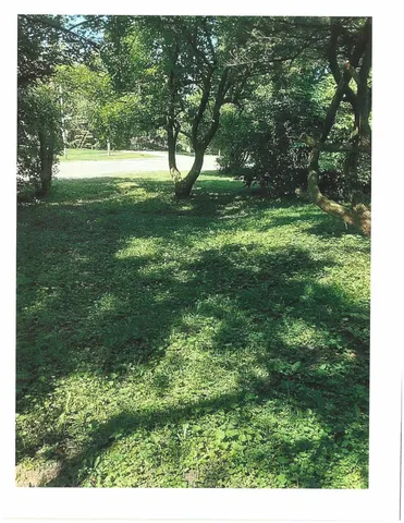 a view of yard with green space