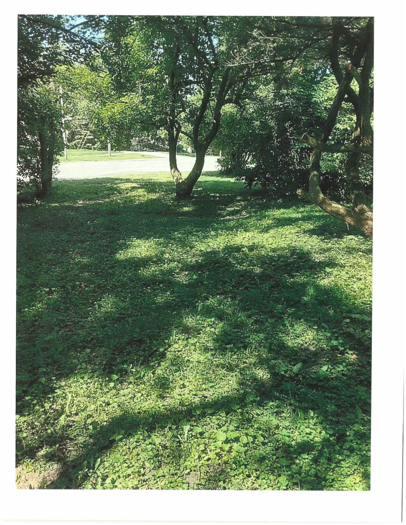 5848 Clarendon Hills Road Clarendon Hills, IL 60514 - Photo 3 of 10 a view of yard with green space