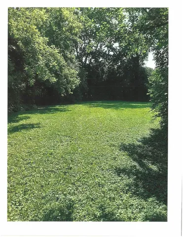 a view of outdoor space and yard