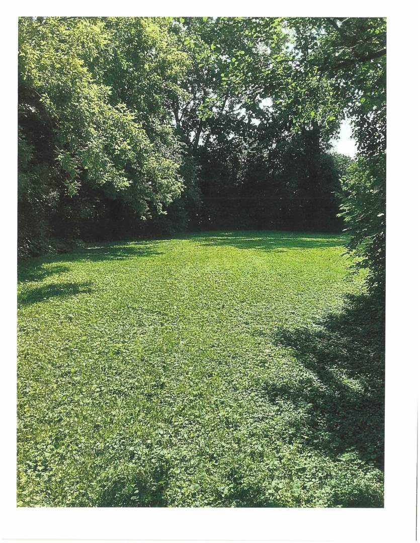 5848 Clarendon Hills Road Clarendon Hills, IL 60514 - Photo 8 of 10 a view of outdoor space and yard