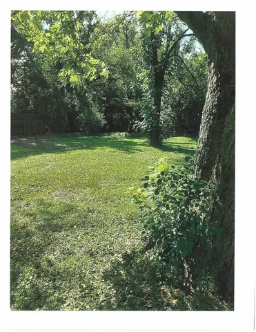 a view of a garden with a tree
