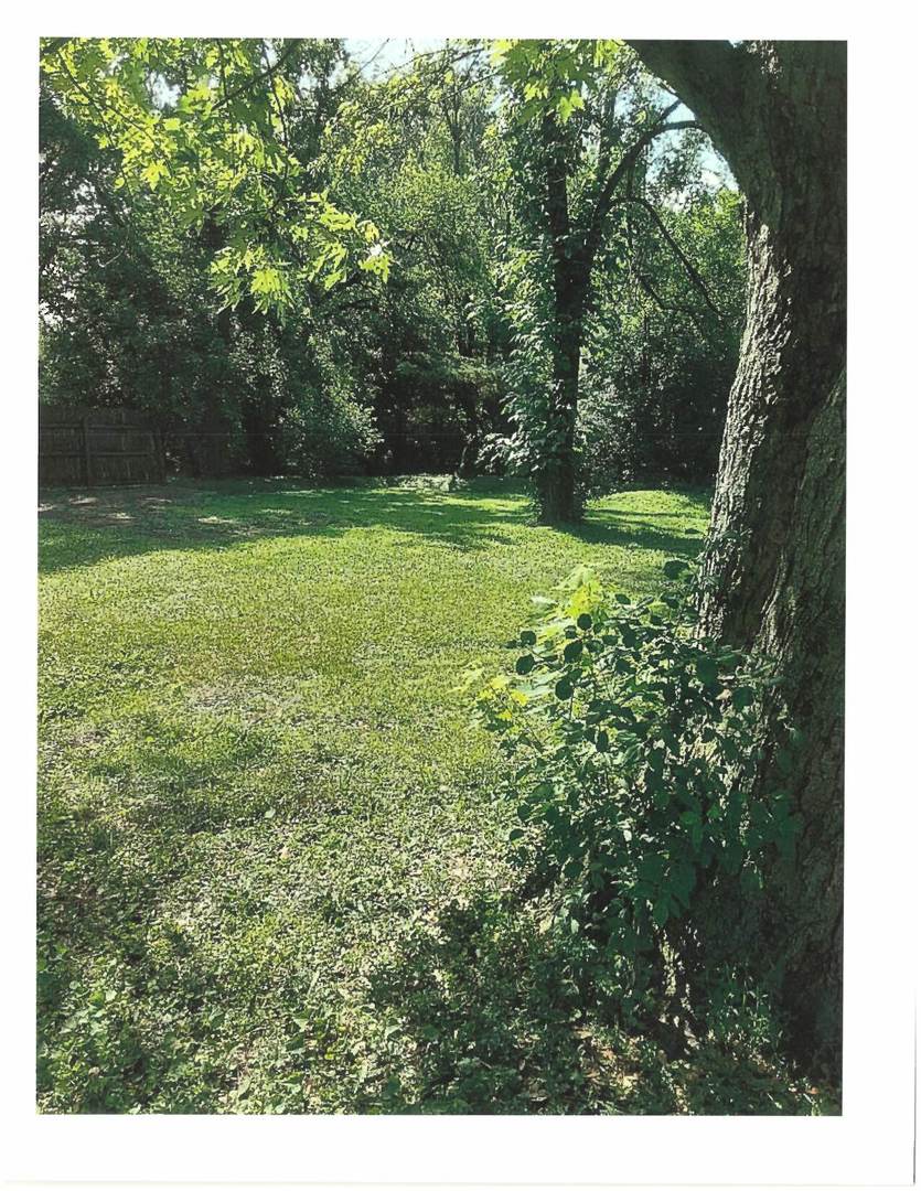 5848 Clarendon Hills Road Clarendon Hills, IL 60514 - Photo 9 of 10 a view of a garden with a tree