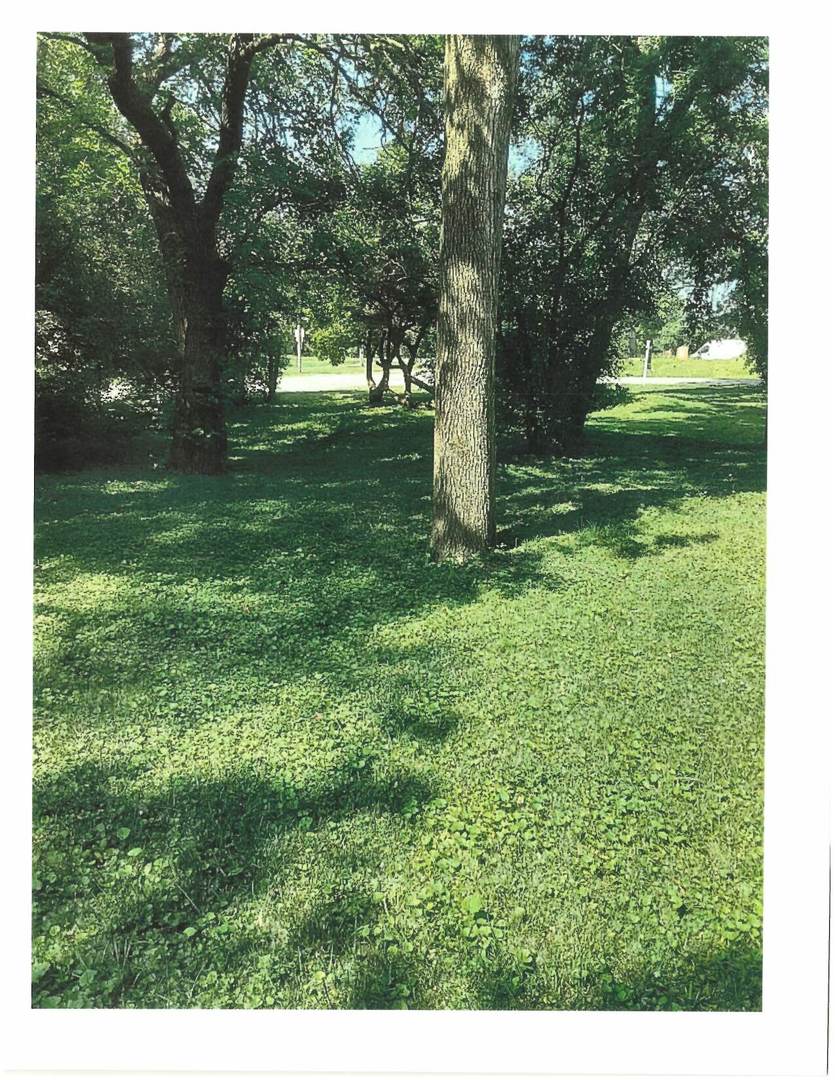 5848 Clarendon Hills Road Clarendon Hills, IL 60514 - Photo 10 of 10 a view of a garden