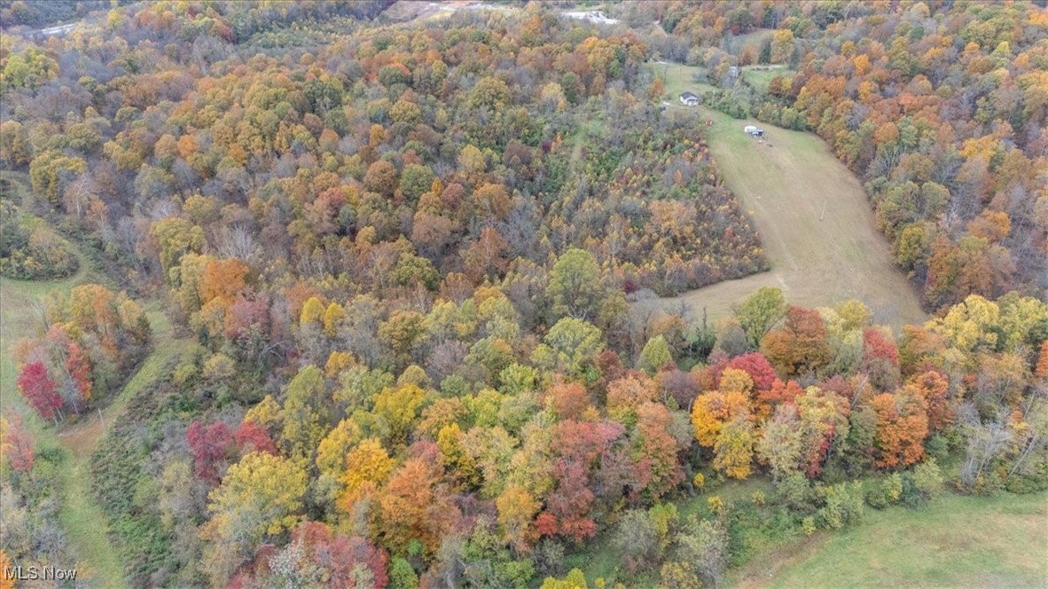 861 Roth Road Parkersburg, WV 26104 - Photo 8 of 20 View of property location with a forest