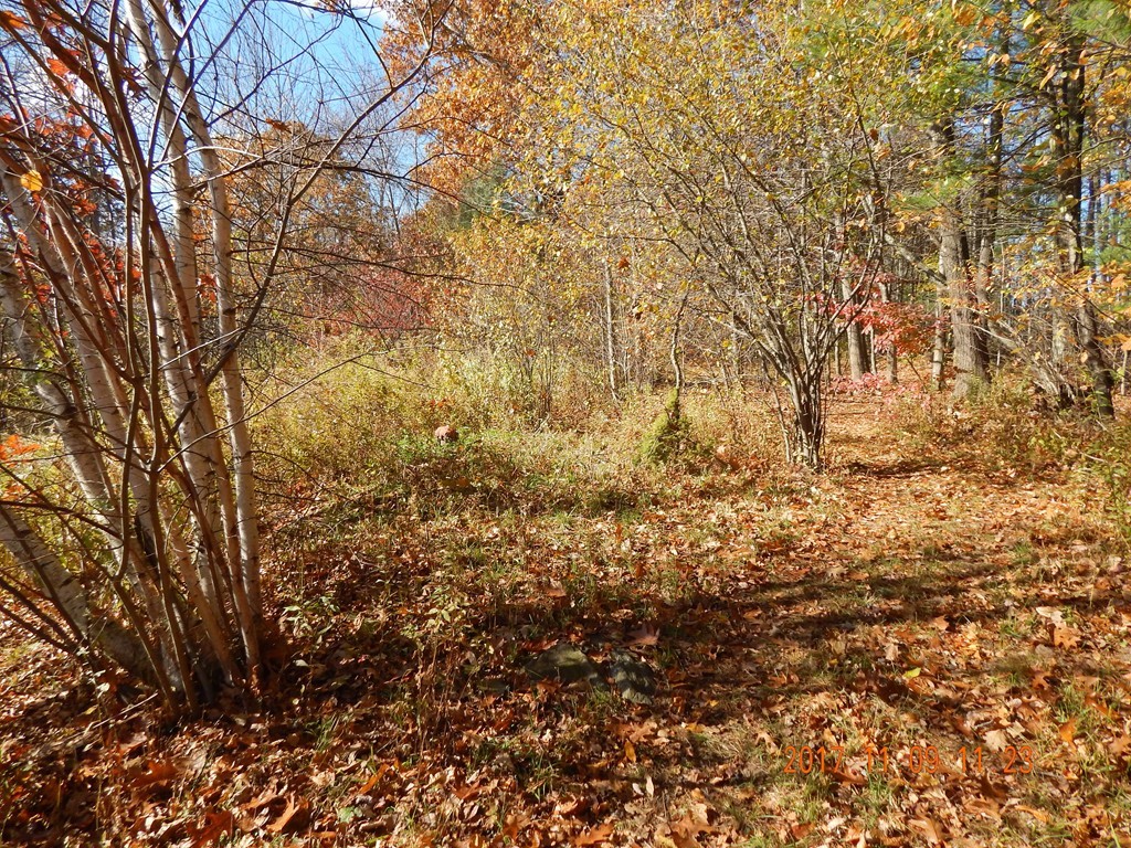 86 Chace Hill Road Sterling, MA 01564 - Photo 6 of 28