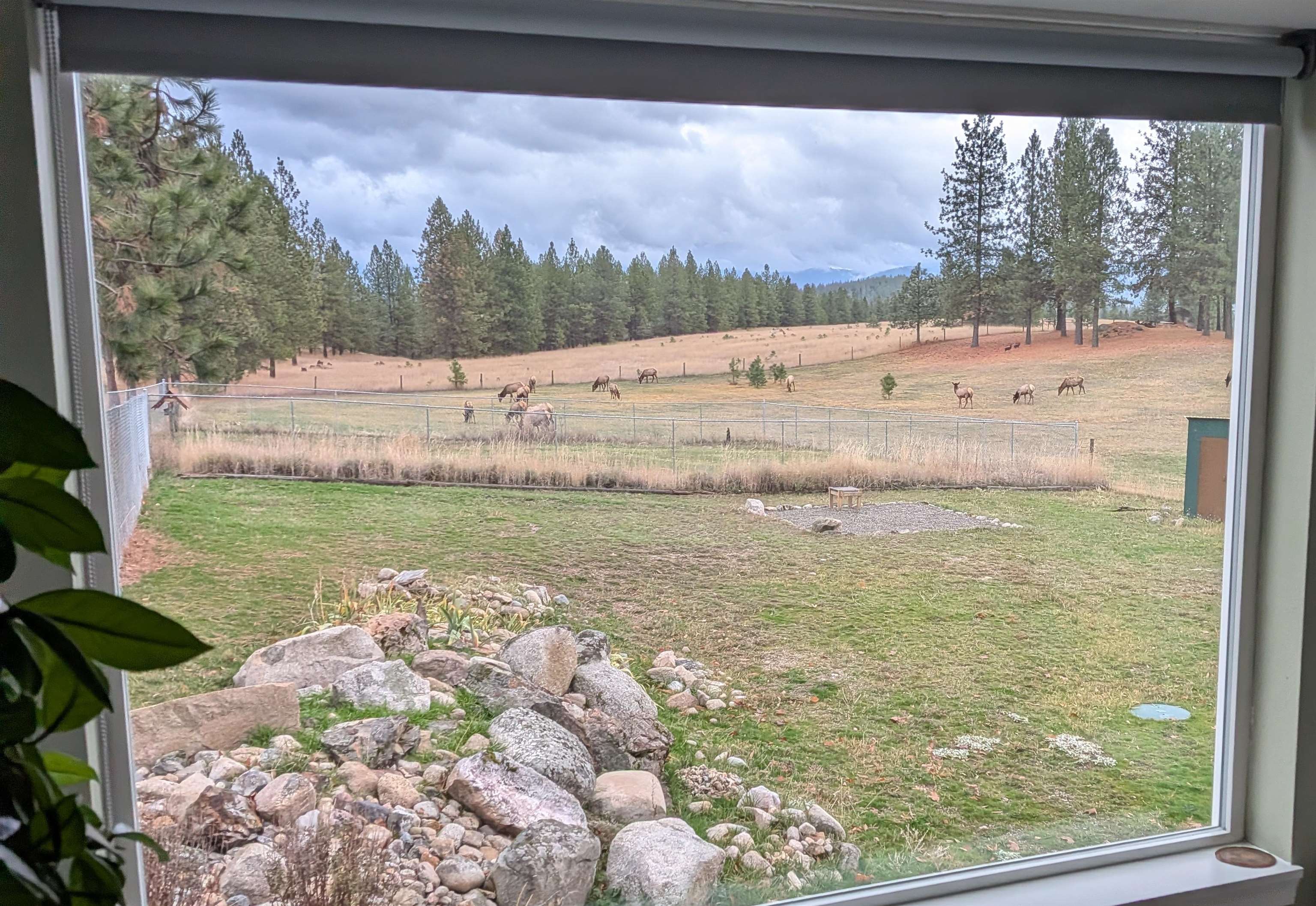 1095 Kitt-Narcisse Road Colville, WA 99114 - Photo 29 of 42