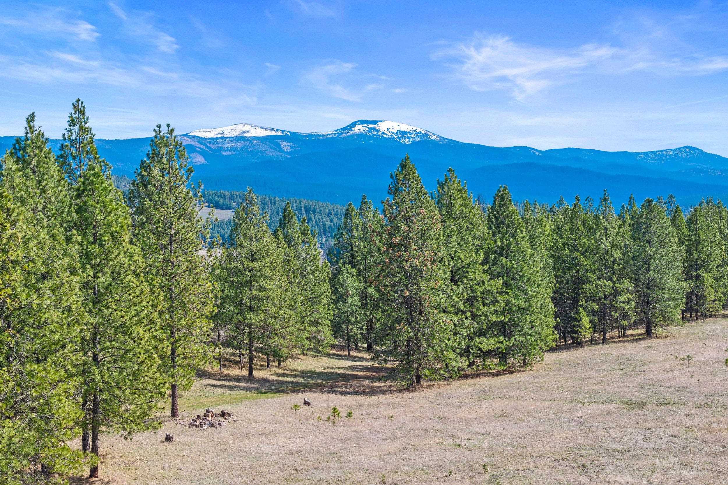 1095 Kitt-Narcisse Road Colville, WA 99114 - Photo 33 of 42